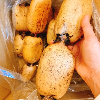 みんなの投稿の画像