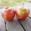 【訳ありご家庭用】皮ごと食べられる青森りんご「未希ライフ」