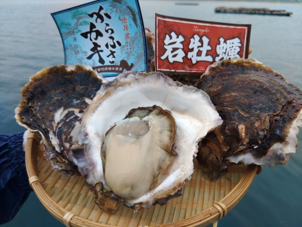 【ポケマルの夏ギフト】やってきました‼️【からふさ岩牡蠣】