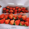 【限定販売・大特価!!】サイズ様々ばら詰めいちごBOX！