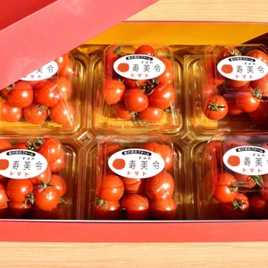 【贈答用】寿美令トマト（250g×6個／化粧箱入り）フルーツトマト　ミニトマト