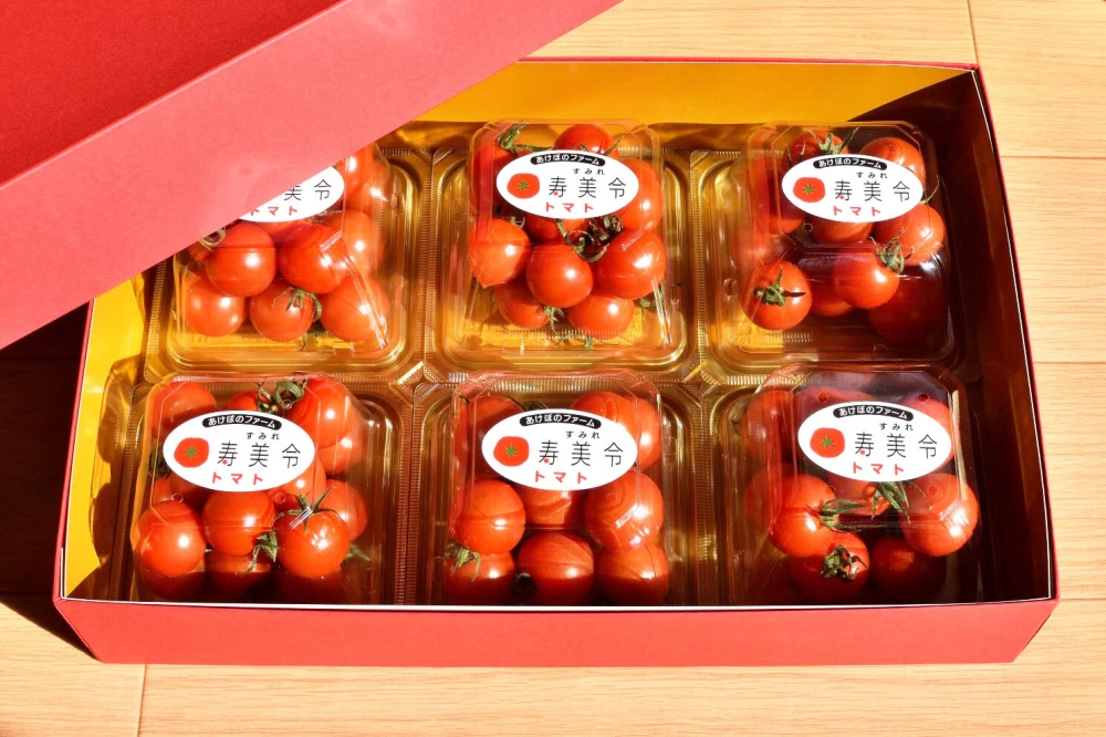 【贈答用】寿美令トマト（250g×6個／化粧箱入り）フルーツトマト　ミニトマト