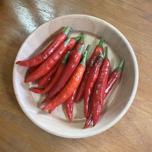 △▽カシミールチリ△▽