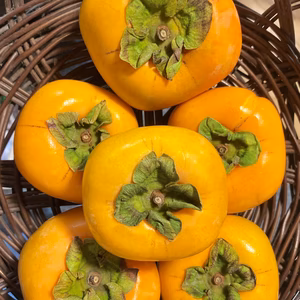 【数量限定☆希少の柑橘】刀根早生柿 2㎏ 秋を先取り！