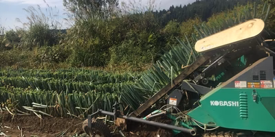 ２回も川が氾濫するなんて何かがおかしいよ！－長ネギまとめ2017前半