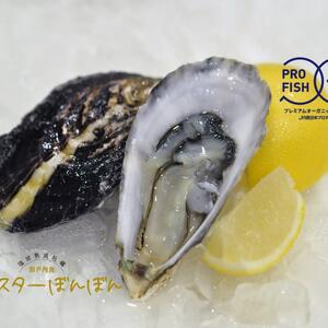 【冷凍•生食】オイスターぼんぼんハーフシェル殻剥不要!