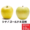 信州産 王林&シナノゴールド【贈答用10kg】2種食べ比べ☆10月上旬頃出荷開始