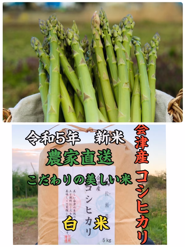 佐瀬農園の極上会津の贅沢セット　白米5キロ➕アスパラガス1キロ