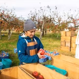 兎澤忠良 | 果実庵とざわ