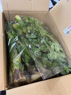 みんなの投稿の画像