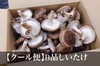 【冷蔵】バーベキューに最適！B品生しいたけ　湯布院産　銅賞受賞