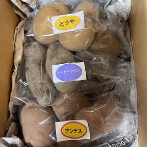 ジャガイモ３種の食べ比べセット（栽培期間中無農薬）