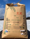 令和5年産特別栽培米コシヒカリ玄米5㎏
