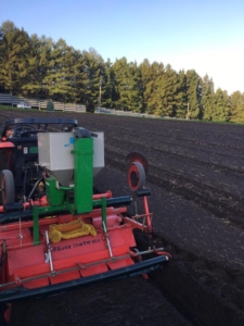 14495321_918976964874243_627225384617162888_n