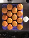 ⭐️福井農園の柿⭐️ 特産物糸貫産！！！美味しさあふれる富有柿。