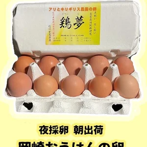 岡崎おうはんの卵【鶏夢】