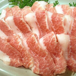 ＊希少部位限定販売　トントロ　