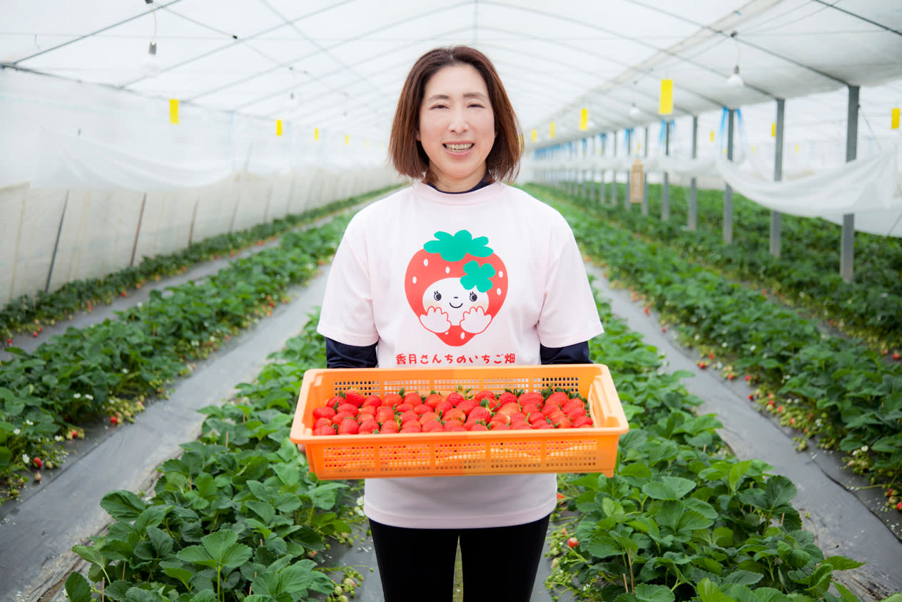 いちごジャム4個入り 香月さんちのいちご畑お菓子の福袋 加工食品の商品詳細 ポケットマルシェ 産直 産地直送 通販 旬の果物 野菜 魚介をお取り寄せ