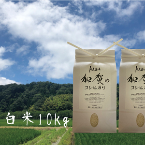 【農薬・化学肥料不使用】令和2年産-加賀のコシヒカリ白米10㎏