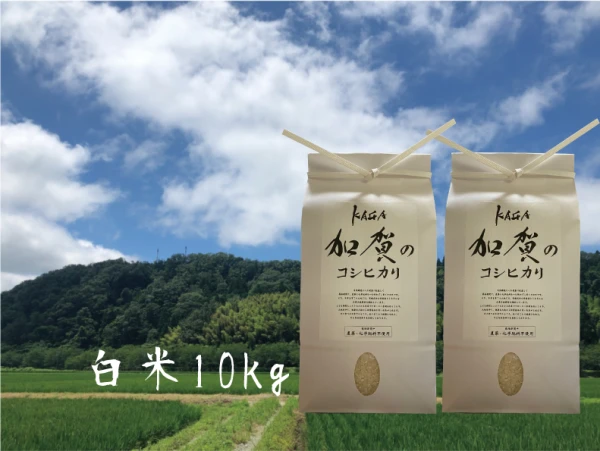 【農薬・化学肥料不使用】令和2年産-加賀のコシヒカリ白米10㎏