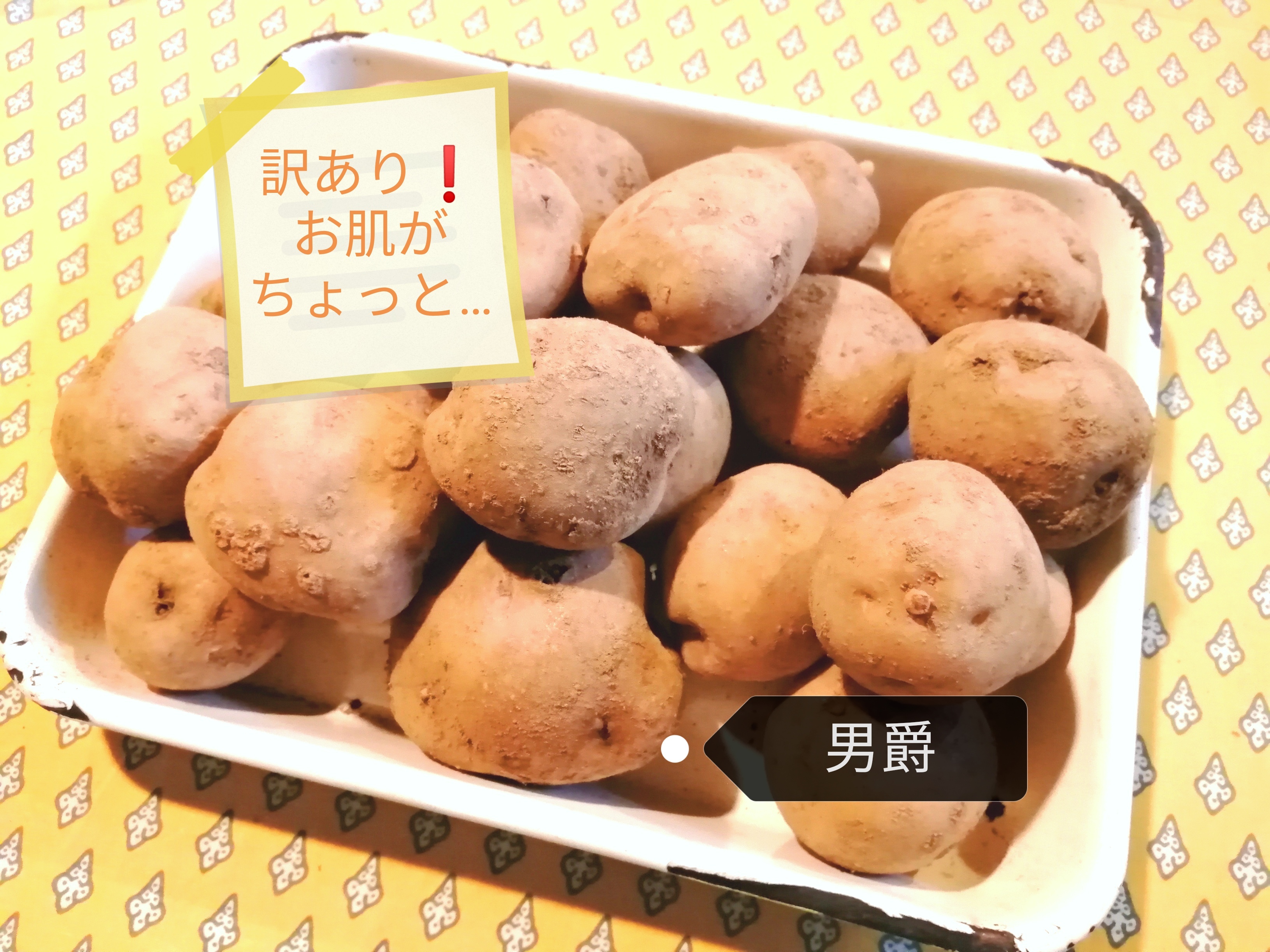 訳あり お肌がちょっと 農薬不使用 無施肥栽培ジャガイモ ダンシャク 農家漁師から産地直送の通販 ポケットマルシェ