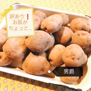 訳あり　お肌がちょっと…農薬不使用　無施肥栽培ジャガイモ　ダンシャク