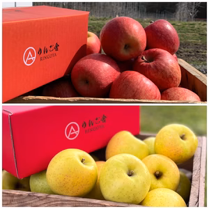 【蔵出し王林・サンふじ HALF&HALF】パリパリ・ジューシー家庭用