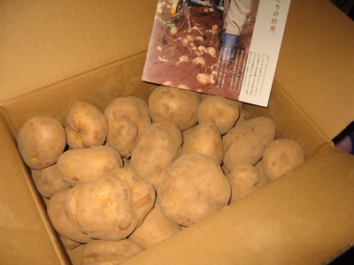 みんなの投稿の画像