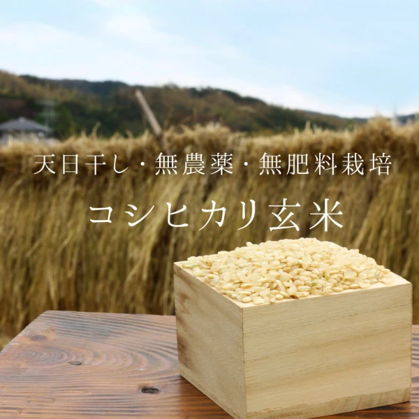 コシヒカリ玄米【無農薬・無肥料・天日干し】