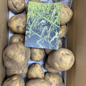 【無農薬栽培】黒土の豊かな大地で育った''とうや''（おまけ付き！）