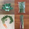 いつもとちょっと違う野菜セット（７点・80サイズ）　＜農薬・化学肥料不使用＞