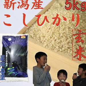 コシヒカリ&つきあかり&こしいぶき(玄米) 三点セット 令和二年産