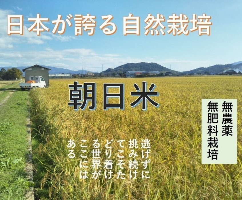 米・穀類の産直通販・お取り寄せ商品｜ポケットマルシェ｜産地直送で旬