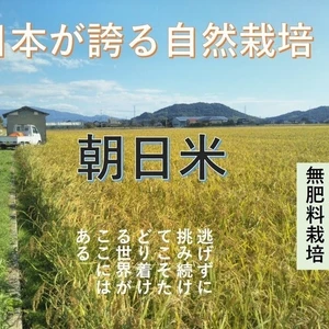 自然栽培(3年以上)のお米（玄米20ｋｇ） 23年産  昔の品種：朝日米　