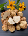 菊芋　健康食品で人気（無農薬生食用）
