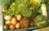 [簡易包装]平飼い卵と野菜7品目のセット[クール便]