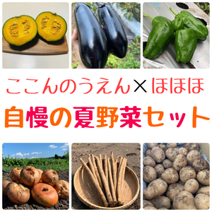【自慢の夏野菜】6種セット！【農薬・化学肥料不使用】