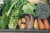野菜ボックス　Mサイズ（約８～１０品目）