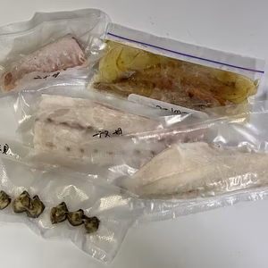 青島の魚介お任せパック（真空）冷凍