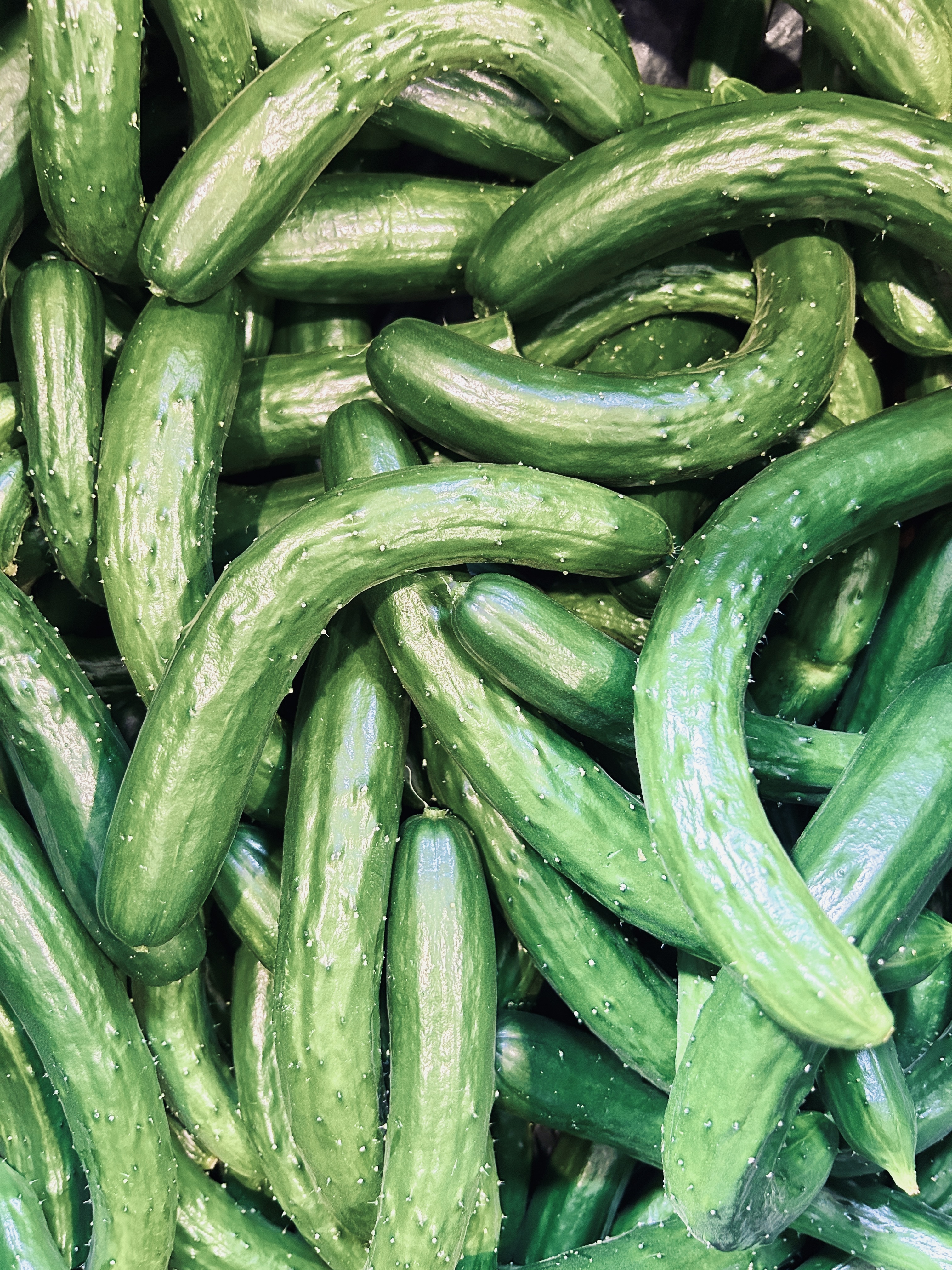 おのんきゅうりの産直通販・お取り寄せ商品｜ポケットマルシェ