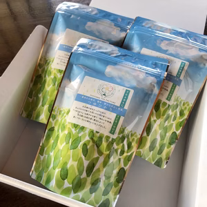 お水とポン♪マイボトルにも♪【水出し煎茶つゆひかり】3つセット特別価格！