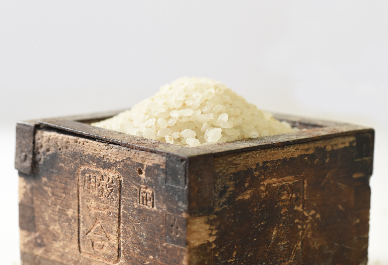 TVで紹介されました/[精米]令和7年産 こだわりの南魚沼産コシヒカリ 2kg