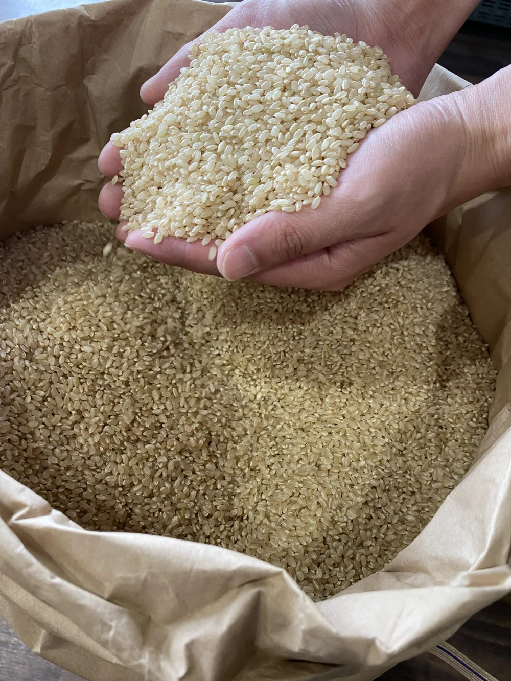 ミルキークィーン　玄米2kg