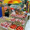【予約２月〜まとめ買い！送料お得！】大玉トマト４キロ箱