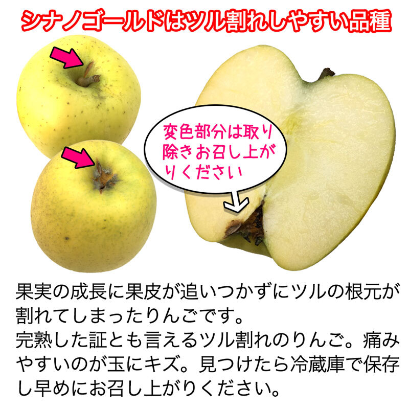 renpeco シナノゴールド　15kg 楽天市場】【42～48玉・約15kg・厳選シナノゴールド】【送料
