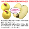 シナノゴールド 訳あり 約2.5kg 7-14玉 家庭用 #NAG0B025