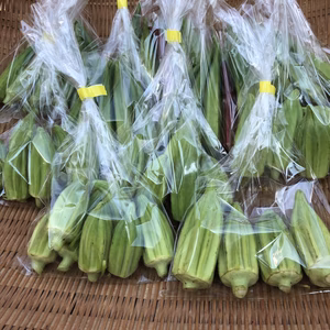 自家採種のオクラ2種セット　農薬、化学肥料、不使用