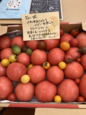 みんなの投稿の画像