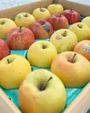 【食べ比べ！2/18(金)より出荷開始】人気のりんご４種詰合せ4.5kg