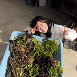 松本那々海 | 田万里家